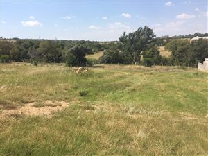 969 m² Land available in Helderfontein Estate