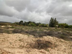 754 m² Land available in Redelinghuys