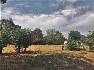 2.5 ha Land available in Allandale