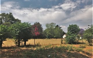 2.5 ha Land available in Allandale