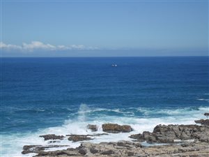 39 ha Farm in Cape St Francis