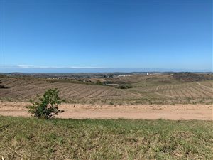 97 ha Farm in Shakaskraal