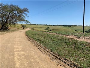 97 ha Farm in Shakaskraal