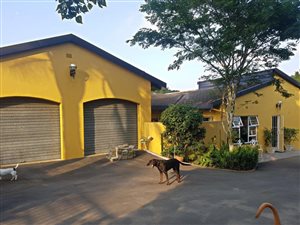 2.4 ha Smallholding in Margate