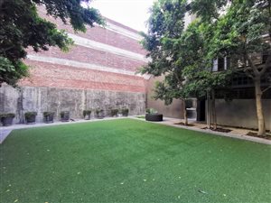 3 Bed Apartment in Salt River