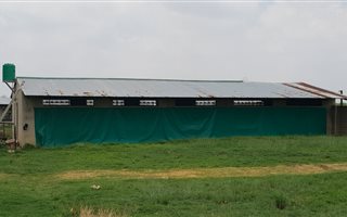 14 ha Farm in Randfontein