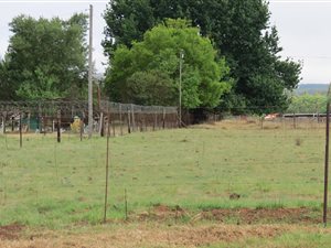 2855 m² Land available in Belfast