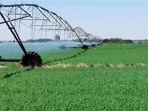 265 ha Farm in Christiana