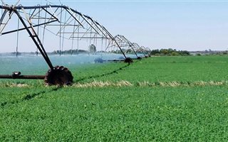 265 ha Farm in Christiana