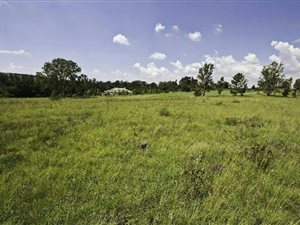 3067 m² Land available in Blair Atholl Estate