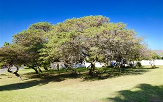 637 m² Land available in Cove Rock