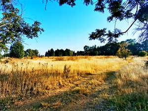 8 ha Farm in Blue Hills