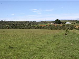 425 ha Farm in Alexandria