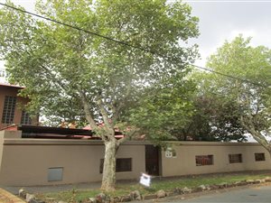 2 Bed House in Sydenham