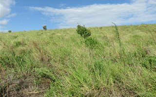 1514 m² Land available in Mtunzini