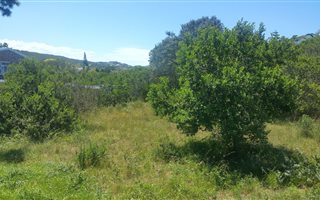 880 m² Land available in Sedgefield