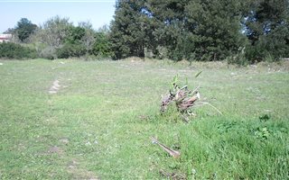 540 m² Land available in Pacaltsdorp