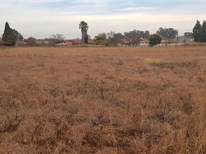 17 ha Land available in Masada
