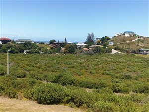 1163 m² Land available in Brenton on Sea