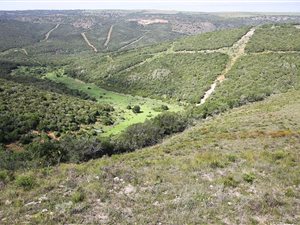 367 ha Farm in Alexandria