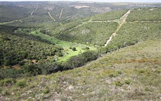 367 ha Farm in Alexandria