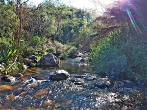 90 ha Farm in Robertson