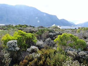 630 m² Land available in Bettys Bay