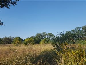 1.6 ha Land available in Rietfontein