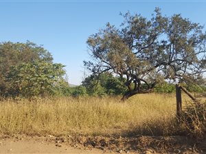 1.6 ha Land available in Rietfontein