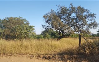 1.6 ha Land available in Rietfontein