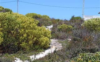 570 m² Land available in Struisbaai
