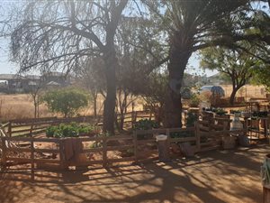 4.6 ha Land available in Spitskop