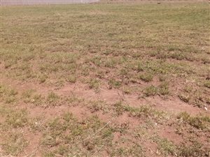 1399 m² Land available in Shalimar Ridge