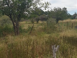 8.5 ha Land available in Onderstepoort