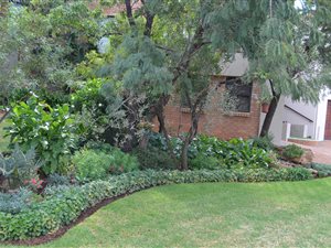 3 Bed House in Buffelspoort
