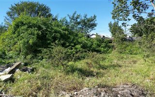 1601 m² Land available in Lynnfield Park