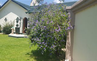 8 Bedroom House in Impala Park