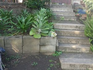 3 Bedroom Duplex in Newlands East