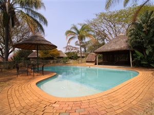 24 ha Farm in Barberton