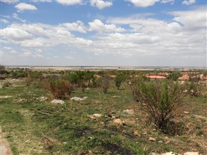 786 m² Land available in Doringkruin