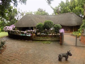 2.1 ha Farm in Tzaneen