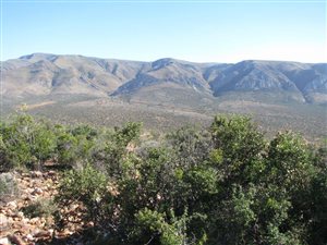 604 ha Farm in Steytlerville