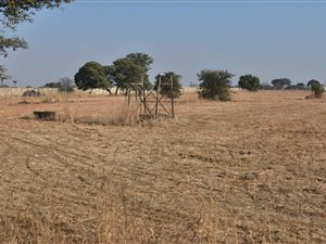 2.2 ha Land available in Nelsonia