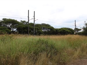 1829 m² Land available in Northam