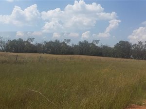 5 ha Land available in Honingnestkrans