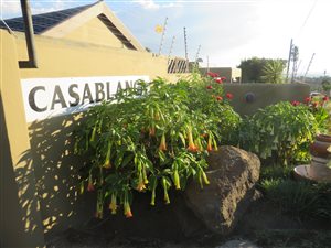 3 Bed Townhouse in Halfway Gardens