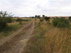 87 ha Farm in Kroonstad