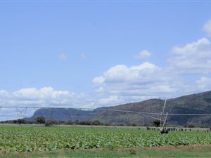 1661 ha Farm in Mookgophong (Naboomspruit)