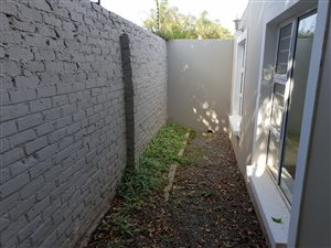 1 Bed Garden Cottage in Sydenham