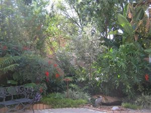 3 Bed House in Irene